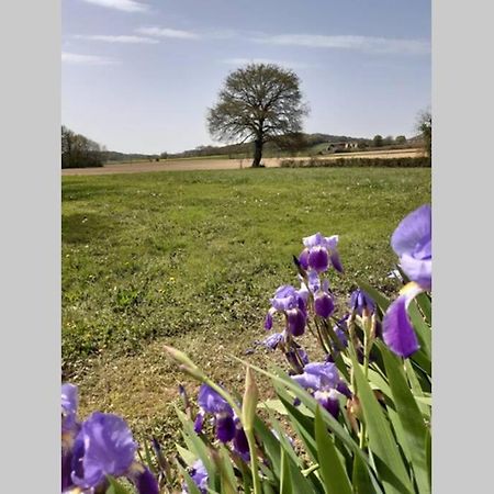 Gite Du Clos Baste Moncaup  Kültér fotó